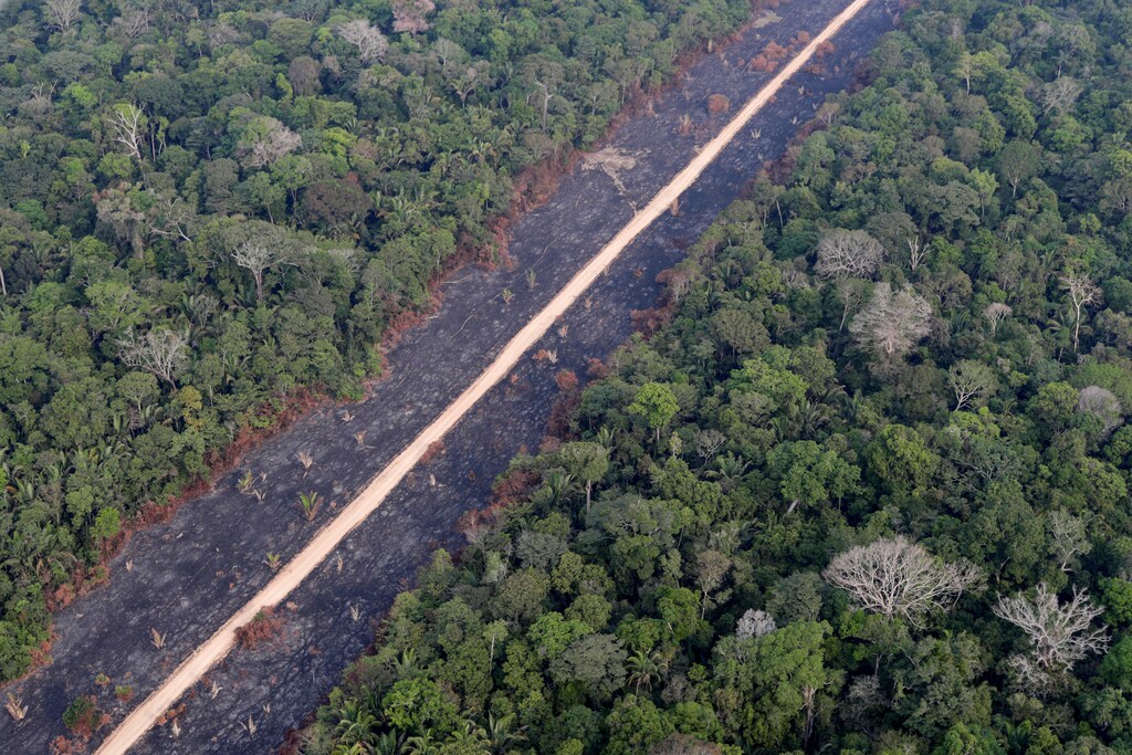 A road runs through a tract of burnt Amazon jungle near Porto Velho, Rondonia State, Brazil.