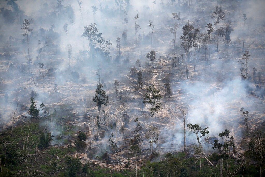 Smoke covers forest during fires in Kapuas regency near Palangka Raya in Central Kalimantan province, Indonesia, September 30, 2019. REUTERS/Willy Kurniawan - RC18B41DD590