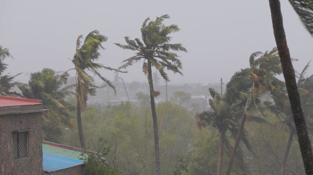 Palm trees moving wildly as cyclone Freddy hits in Mozambique