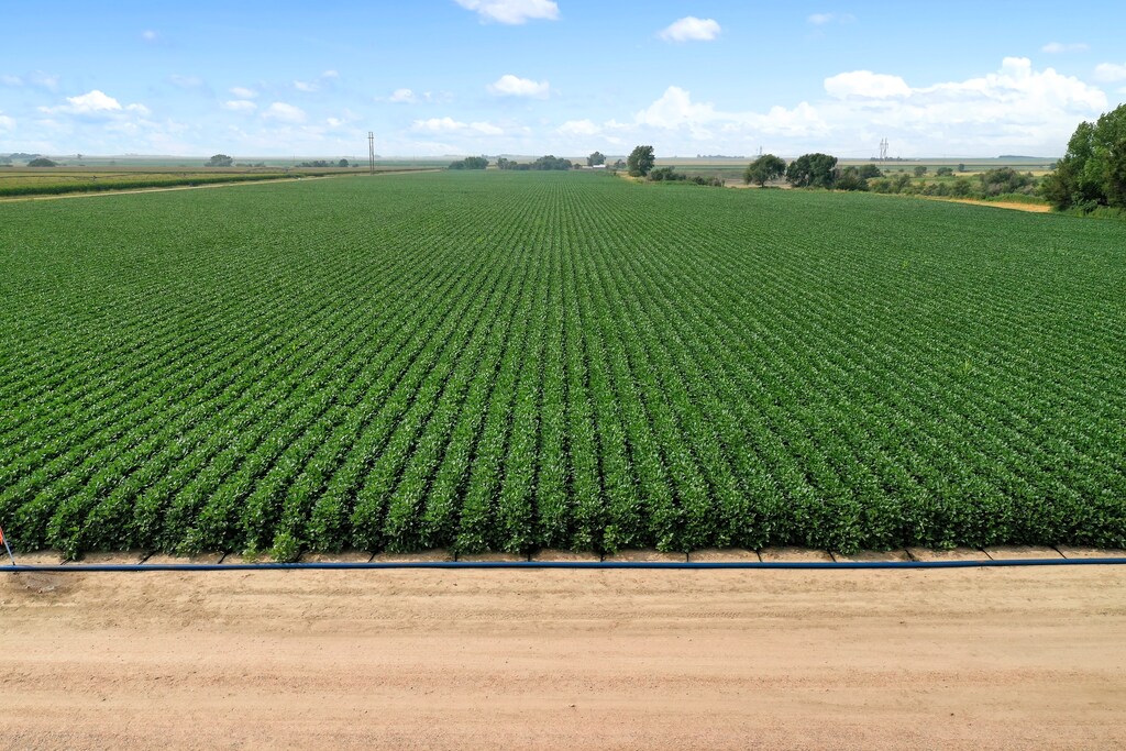 High-efficiency irrigation is one of the many agtech advances that could help bolster food systems.