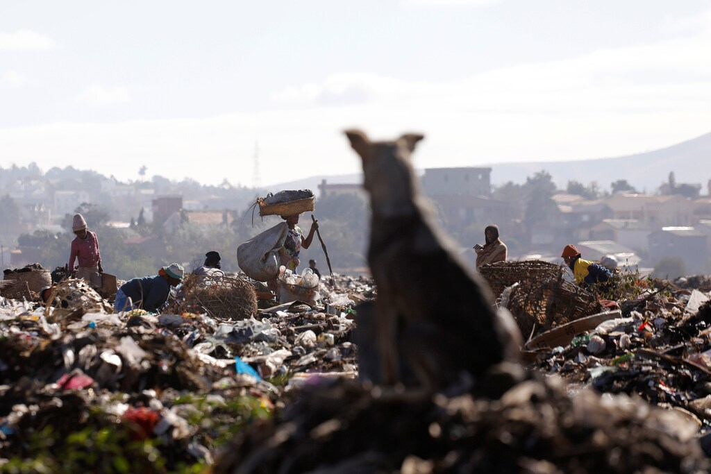 A dog watches people work in the Andralanitra garbage dump in Antananarivo, Madagascar, August 27, 2019. Picture taken August 27, 2019. REUTERS/Baz Ratner - RC1257788200