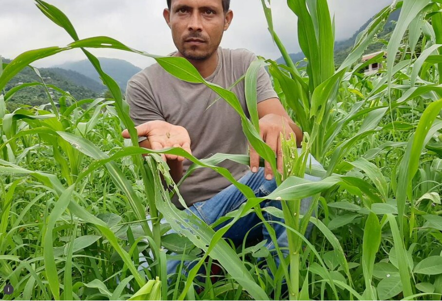 Nepal and the coronavirus