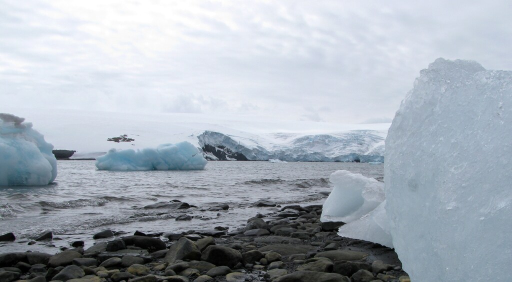 Blocks of ice are seen on the shore of Argentina's Carlini Base in front of the Fourcade glacier in Antarctica, January 12, 2017. Picture taken January 12, 2017 REUTERS/Nicolas Misculin - RC1743B0F150