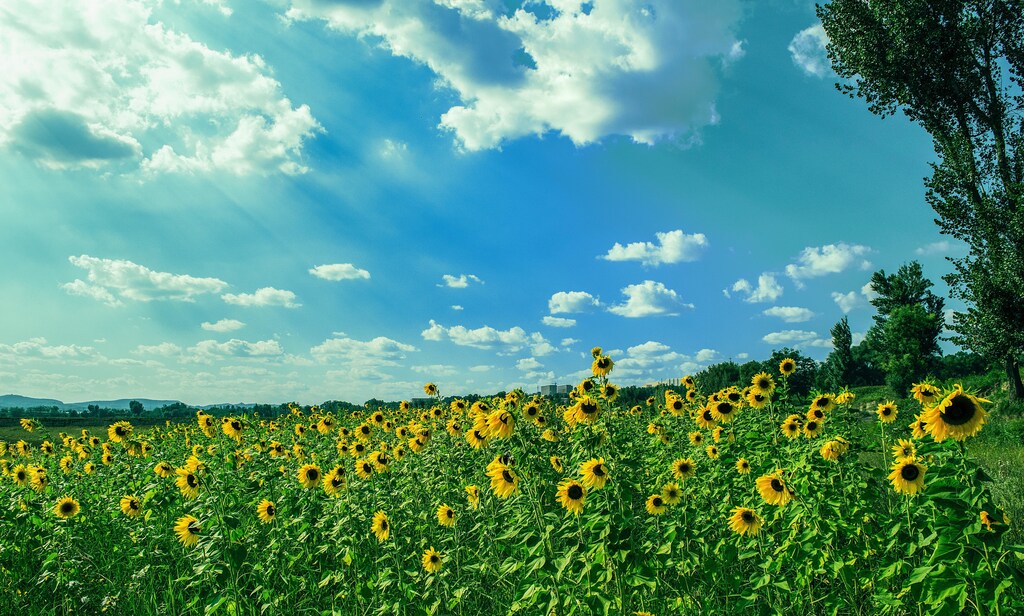 Investing in nature tech is a win-win for the planet and the economy