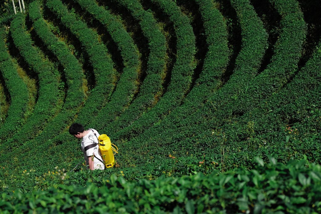 In China, the private and public sectors are collaborating to improve food production and efficiencies to ensure food security.