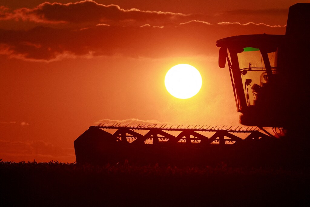 Top nature and climate news: Climate crisis likely to impact world food supply before 1.5°C, and more