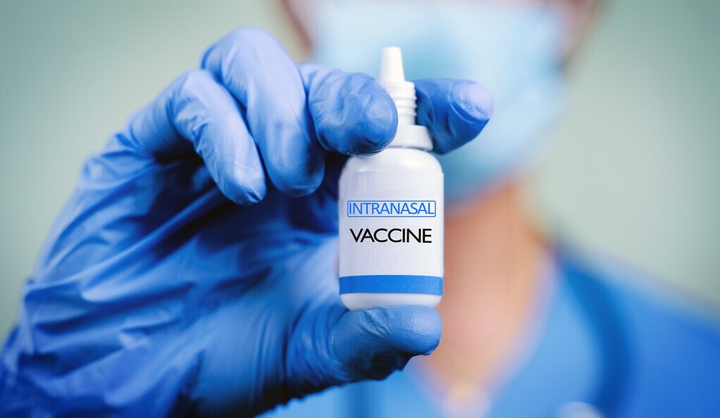 COVID-19 mucosal vaccine pre-clinical trials inhalable