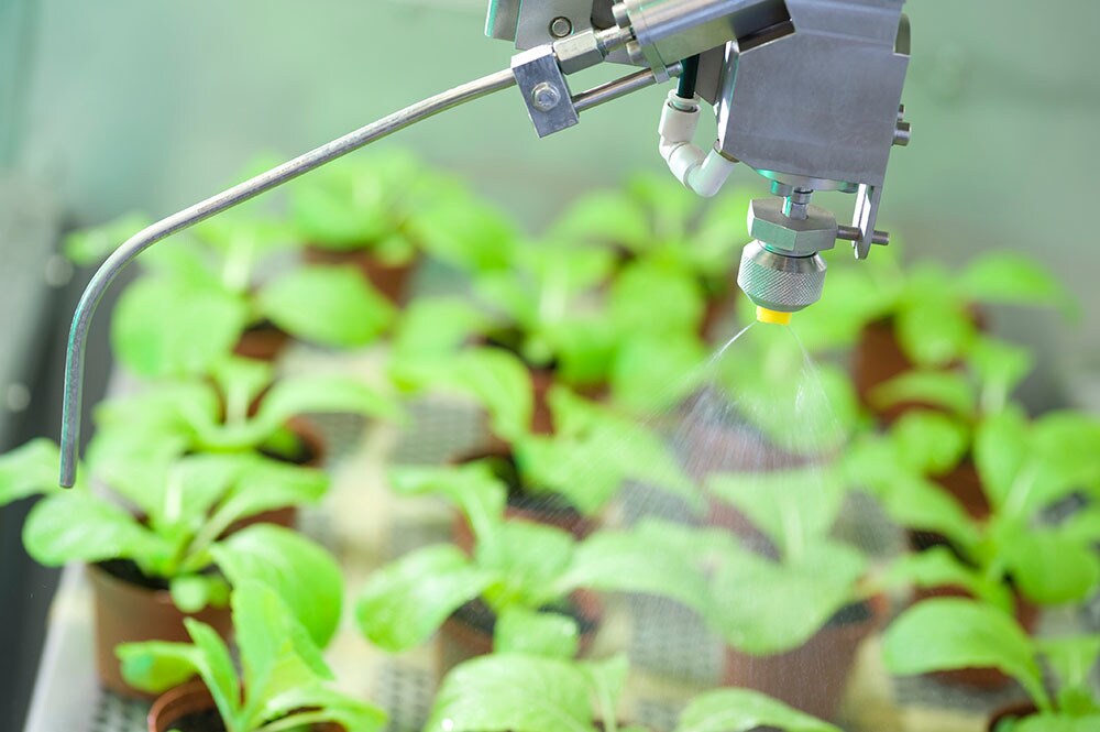spraying plants over the top with experimental compounds