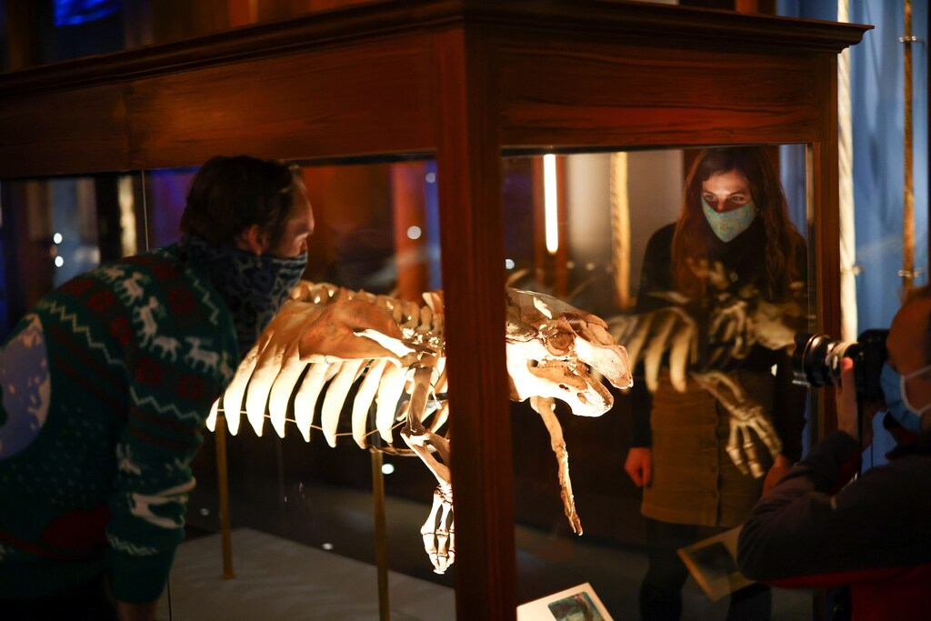Museum employees pose for media next to a piece called 'Dracorex Hogwartsia', part of the 'Fantastic Beasts: The Wonder of Nature' exhibition opening soon at the Natural History Museum in London, Britain, December 8, 2020. Picture taken December 8, 2020. REUTERS/Henry Nicholls - RC2CJK9XP502