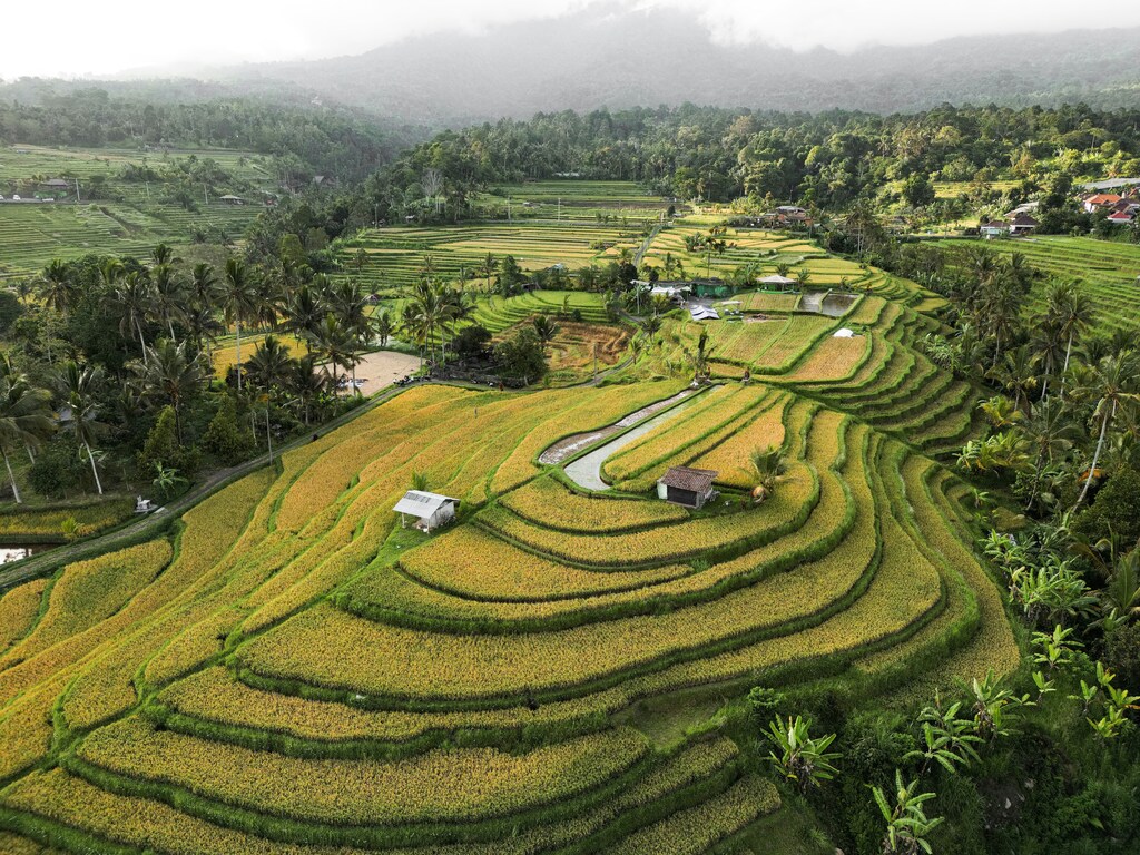 Terrazas agrícolas en Vietnam, un lugar muy turístico.