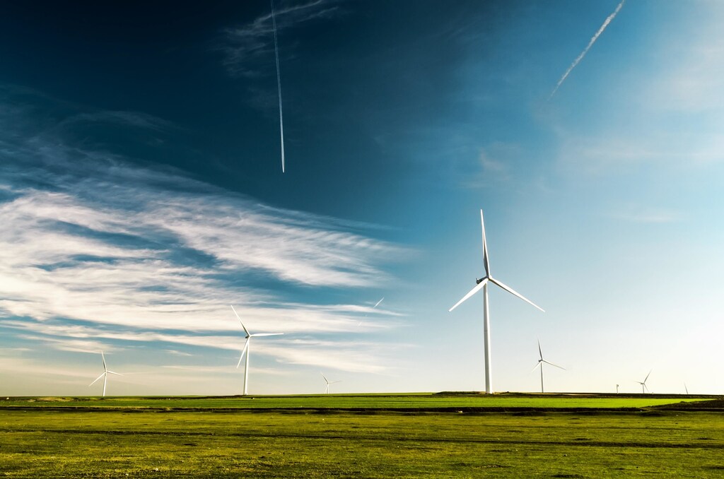 Wind turbines in a field