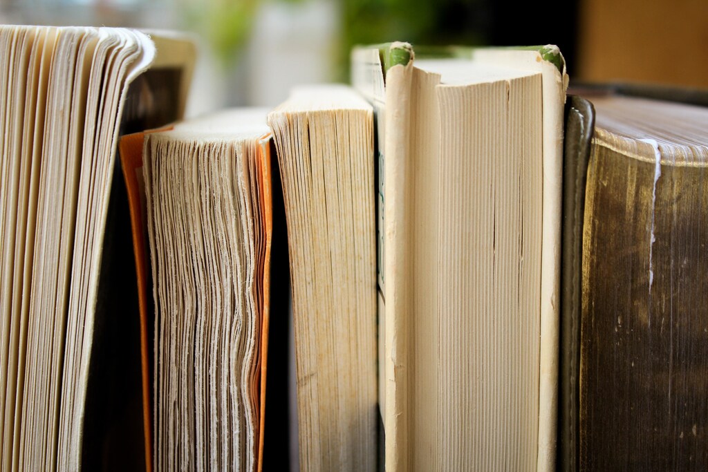 For the first time ever, the Oxford English Dictionary’s (OED) word of the year was left to the public to decide.