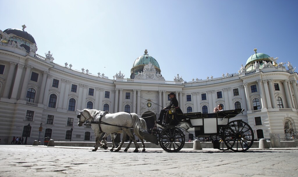 A Fiaker horse carriage passes Hofburg palace during a sunny spring day in Vienna April 15, 2013. REUTERS/Leonhard Foeger (AUSTRIA - Tags: SOCIETY ENVIRONMENT TRAVEL CITYSPACE) - BM2E94F13M801