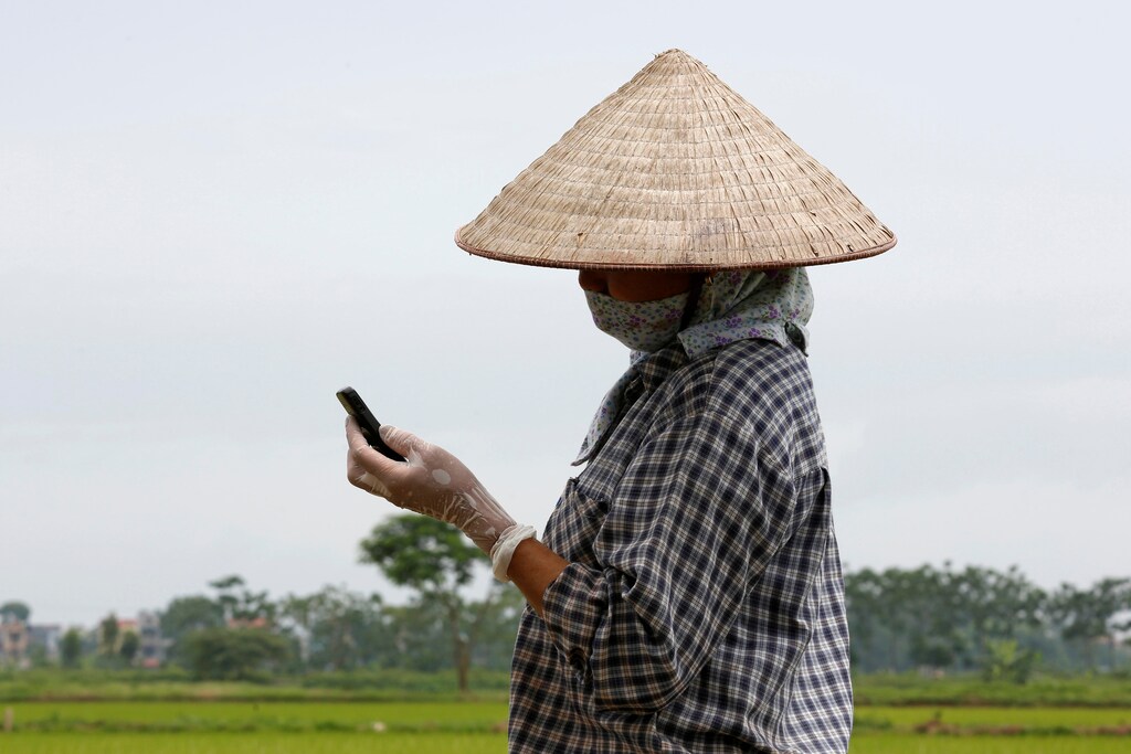 A farmer working on a rice paddy field outside Hanoi, Vietnam