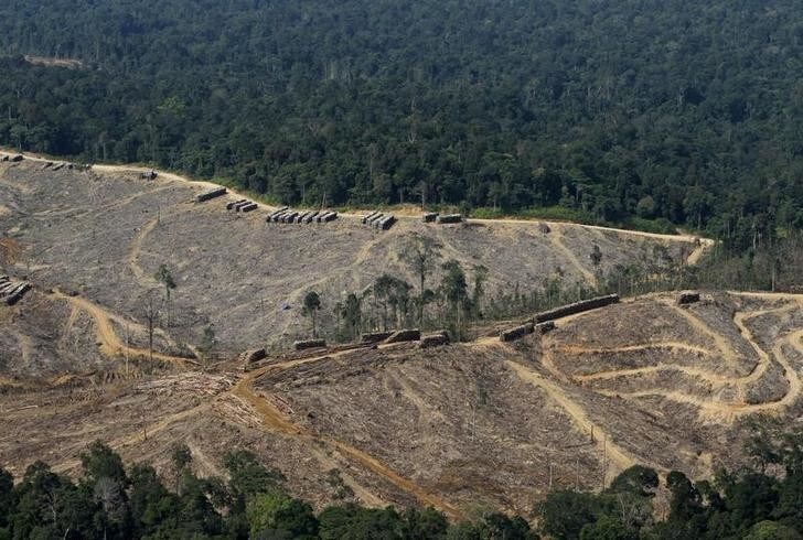 An aerial view of deforestation at Indonesia's Sumatra island, August 5, 2010. Indonesia and Australia launched a A$30 million project to fight deforestation in Sumatra as part of efforts to cut greenhouse gas emissions and boost a planned forest-carbon trading scheme on March this year. Indonesia, like Brazil, is on the front line of efforts to curb deforestation that is a major contributor to mankind's greenhouse gas emissions that scientists blame for heating up the planet. REUTERS/Beawiharta (INDONESIA - Tags: ENVIRONMENT SOCIETY BUSINESS)