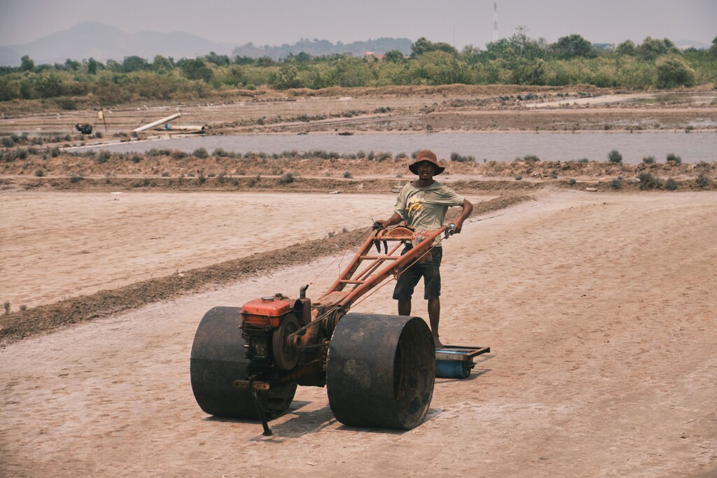 The zaï technique is becoming increasingly popular in the Sahel, as it is a more efficient and sustainable way to grow crops in dry conditions.