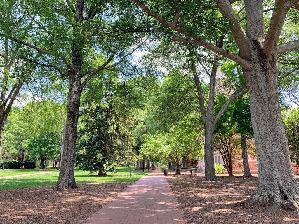 sustainability initiatives by universities greenest college campuses