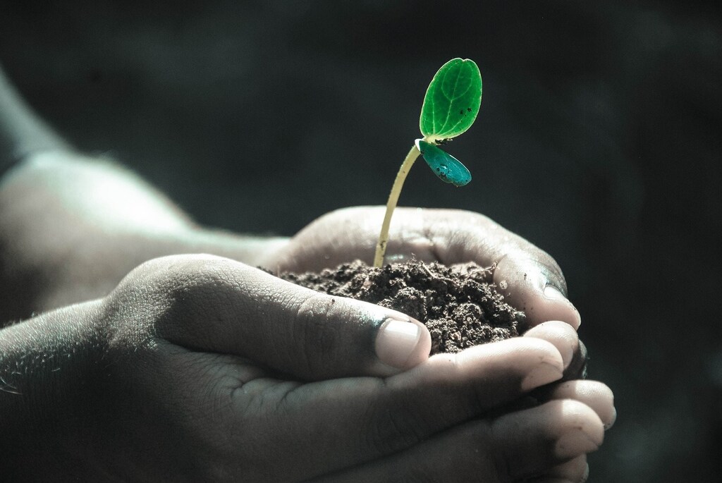 We won't beat climate change without nature's help