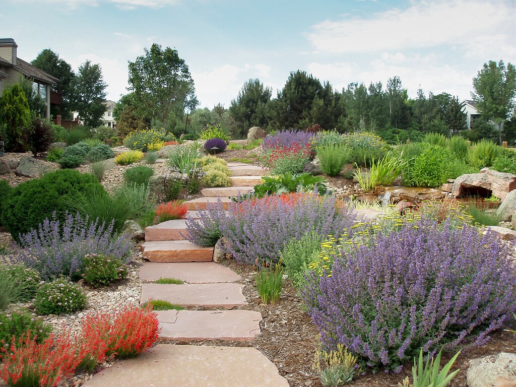 Xeriscaping can save homeowners money on water bills and can also increase the value of their homes.
