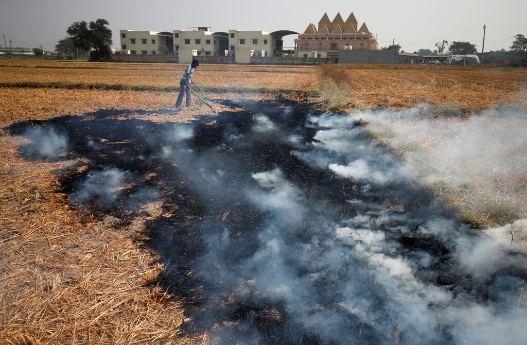 A farmer burns paddy waste stubble in a field on the outskirts of Ahmedabad, India November 30, 2018. REUTERS/Amit Dave - RC15045E2280