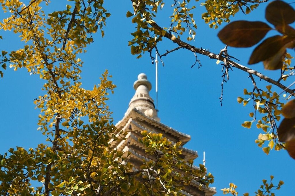 image of the Five Pagoda Temple, Beijing China