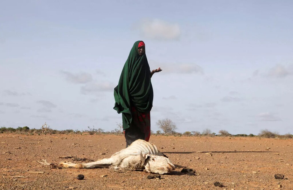 Somalia es uno de los lugares más vulnerables a las crisis humanitarias en 2023, pero el sufrimiento de su población no está escrito.