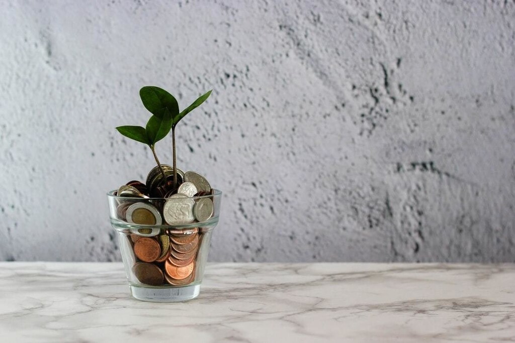 Image of coins with a plant growing out of them