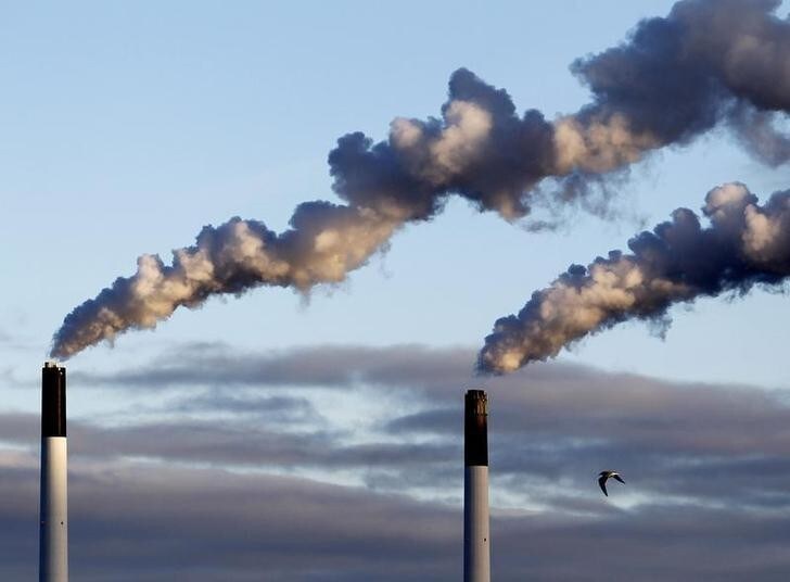 A bird flies near chimneys emitting smoke in the harbour area of Copenhagen January 26, 2011. REUTERS/Yves Herman (DENMARK - Tags: SOCIETY ANIMALS BUSINESS ENVIRONMENT)
