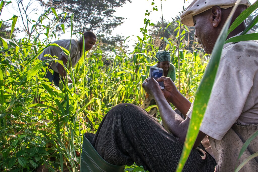 Togo's NOVISSI Program demonstrates how digital technology can break down barriers and transform lives.