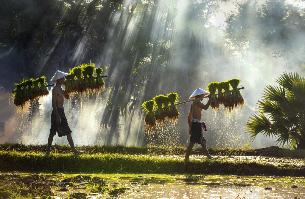 Solutions to the planetary crisis and that deliver a just transition can only work if they are grounded in local communities and address local needs.