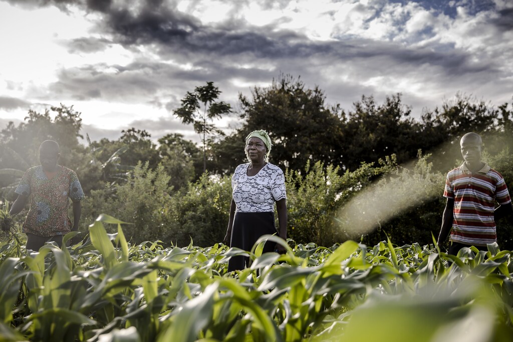 Tackling gender inequalities in agrifood systems and empowering women reduces hunger, boosts the economy, and reinforces resilience to shocks like climate change.