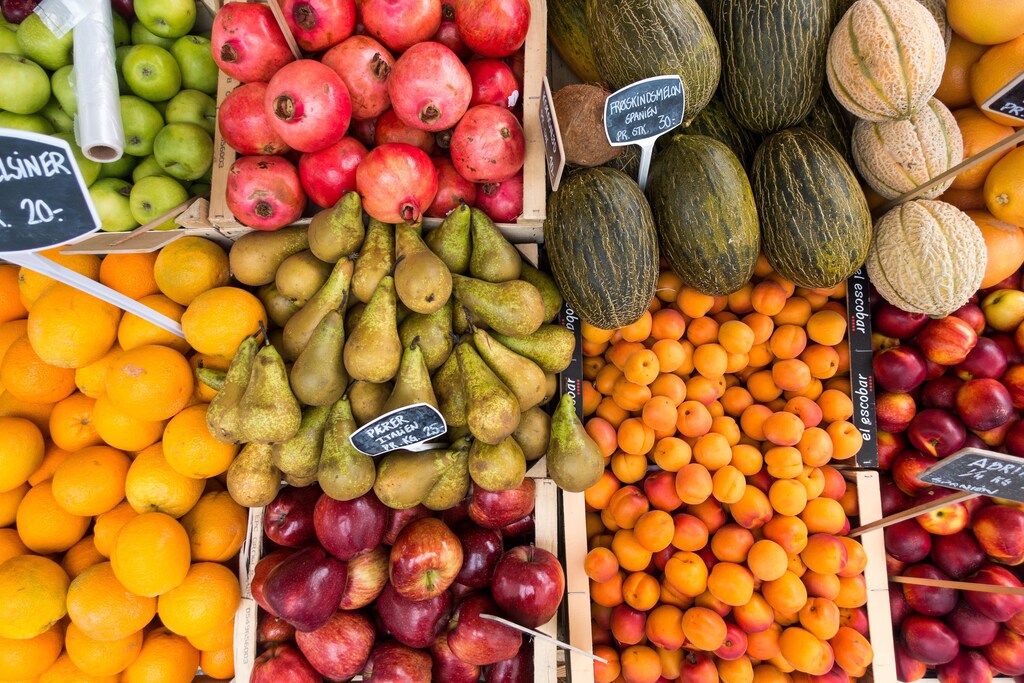 オーストラリア第二の都市で自給自足＆ゼロウェイストを実現する住宅「Future Food System」