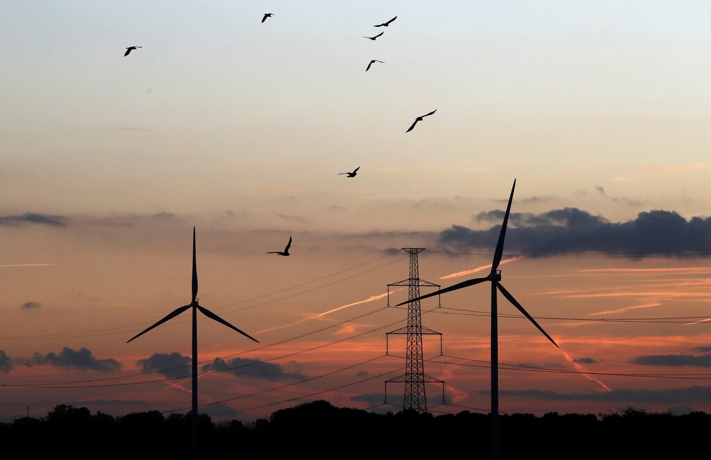 Power-generating wind turbines are seen near the city of Halle, Belgium, November 19, 2019 REUTERS/Yves Herman - RC2IED9K3MUZ