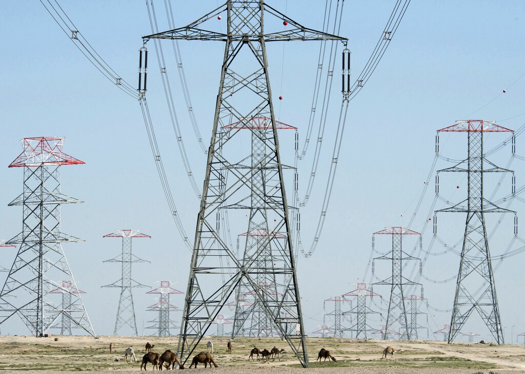 Camels graze around power grid towers in the Kuwaiti desert February 14, 2014. Kuwaiti oil refineries are at risk of more shutdowns because of an inadequate power supply system, which has blighted the oil producer during years of rapid demand growth and underinvestment. Picture taken February 14, 2014. REUTERS/Stephanie McGehee (KUWAIT - Tags: ENERGY ANIMALS) - RTX18XGM