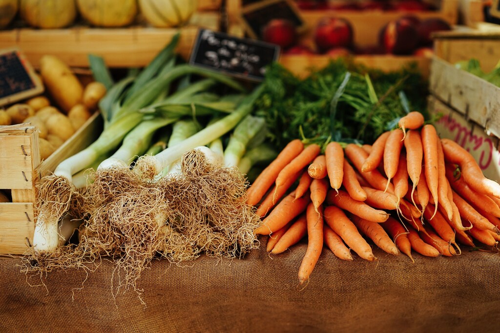obesity children overweight food diet