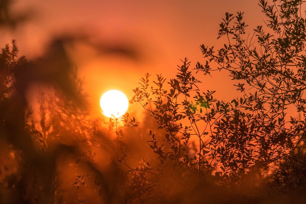 France is experiencing its worst drought since records began in 1958.