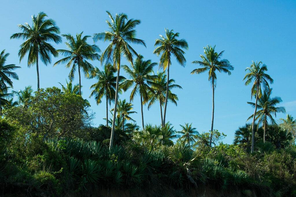 Reaching net zero in the palm oil industry will require a combination of technological, policy, and behavioral changes.