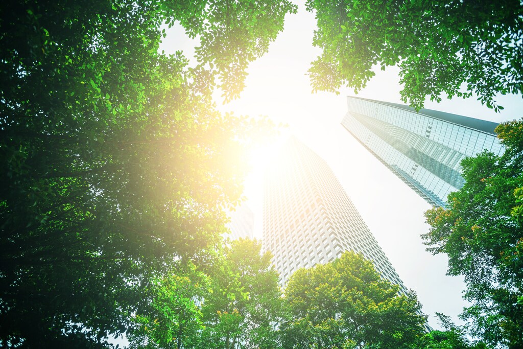 Investment in carbon avoidance assets also accelerates the technology that will become the enduring standard in our post-carbon future.