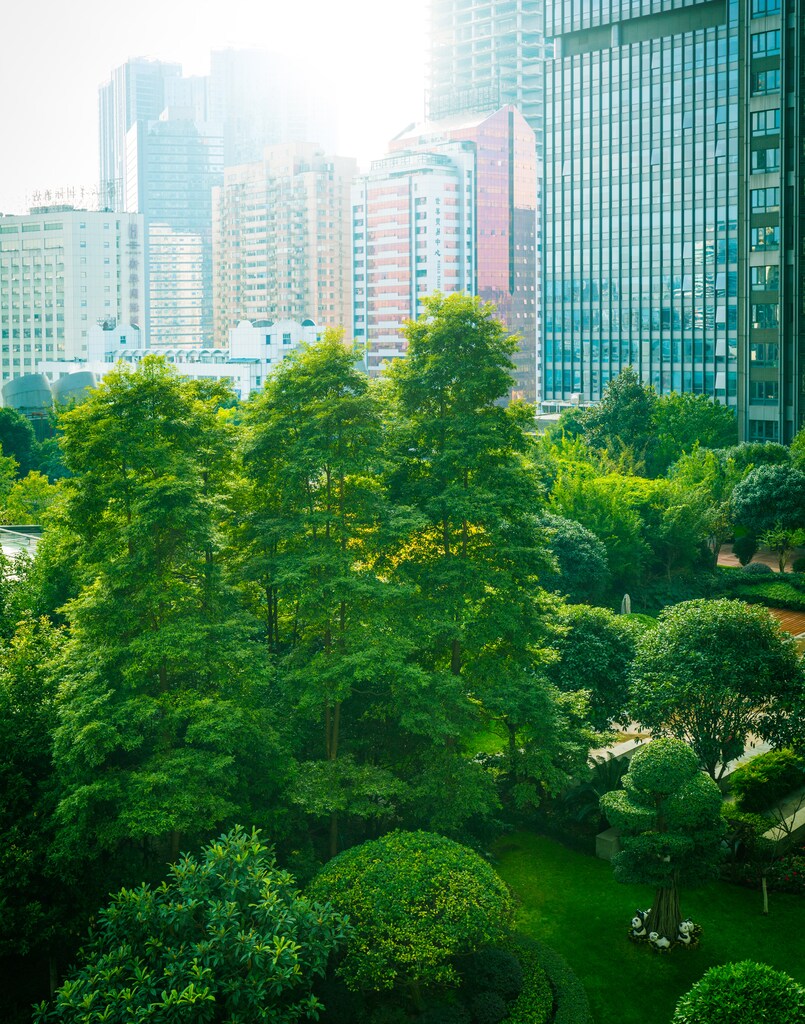 Isobenefit Urbanism rethinks the way we manage our cities, prioritising walkability and green space.