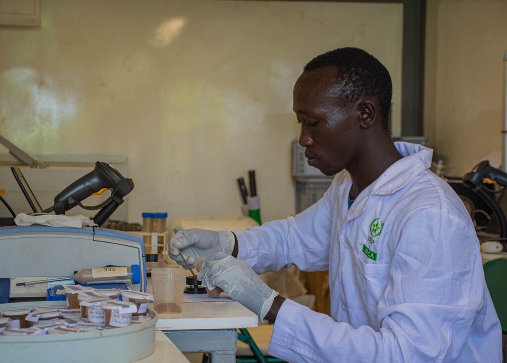 Across Africa, science-based agricultural strategies are paying dividends to farmers and development goals.