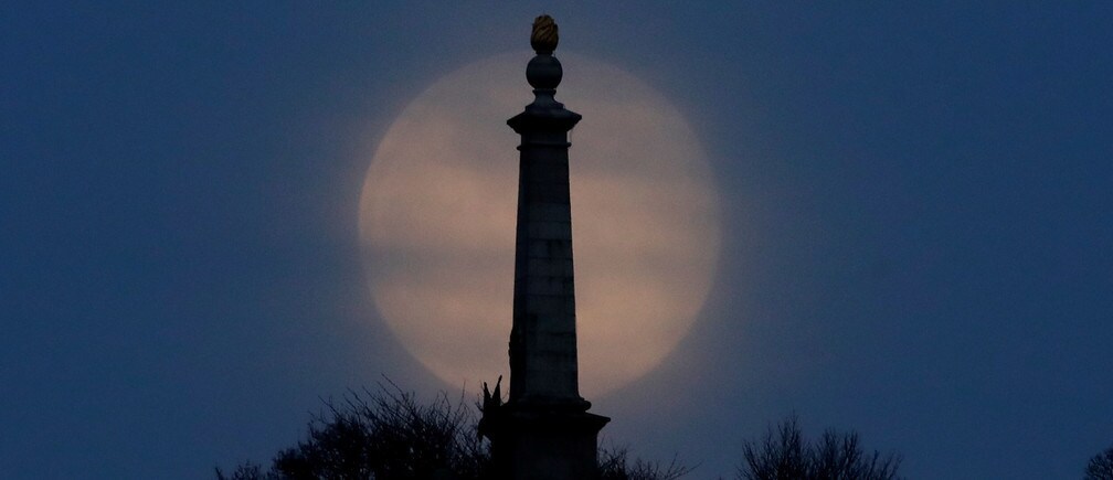 Desde una superluna rosa hasta una enzima come-plástico, aquí hay algunas de las historias de la semana pasada sin coronavirus.