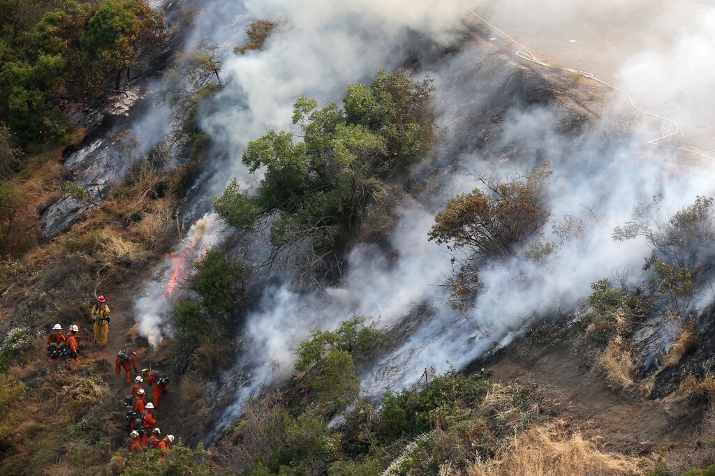 Firefighters halt the progress of a wildfire burning behind the Getty Center in Mandeville Canyon in Los Angeles, California, U.S., May 28, 2017. REUTERS/Lucy Nicholson - RTX380TG