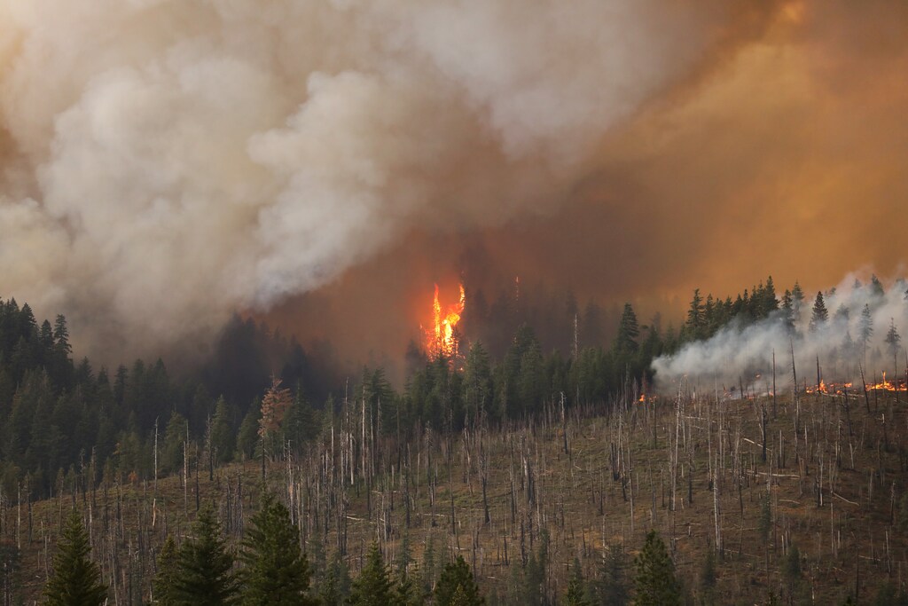 smoke billows as the US Forest Service performs a prescribed burn using incendiary balls dropped from a helicopter in Meadow Valley as a way to control the progress of the Dixie Fire, now at nearly a quarter million acres, California, U.S., July 31, 2021. REUTERS/David Swanson - RC20WO9113WV