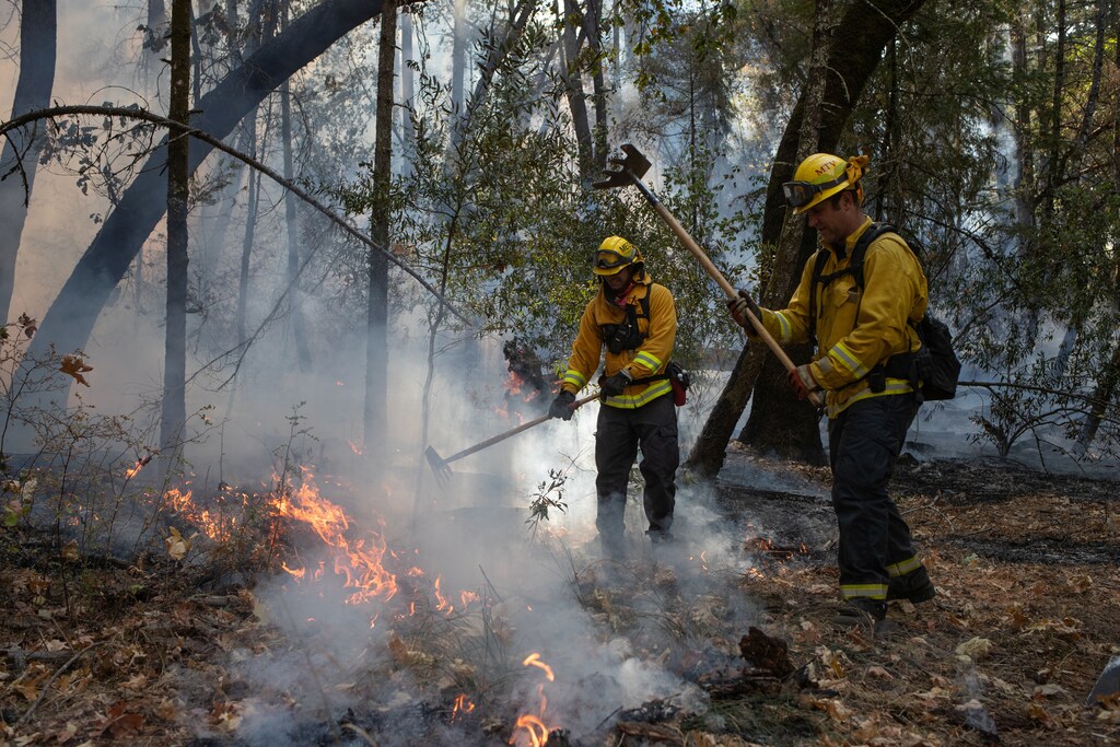Firefighters from San Mateo create a fire line after a firing operation on the sidelines of the Glass Fire in Calistoga, California, U.S. October 3, 2020. REUTERS/Adrees Latif - RC2CBJ9U7N67