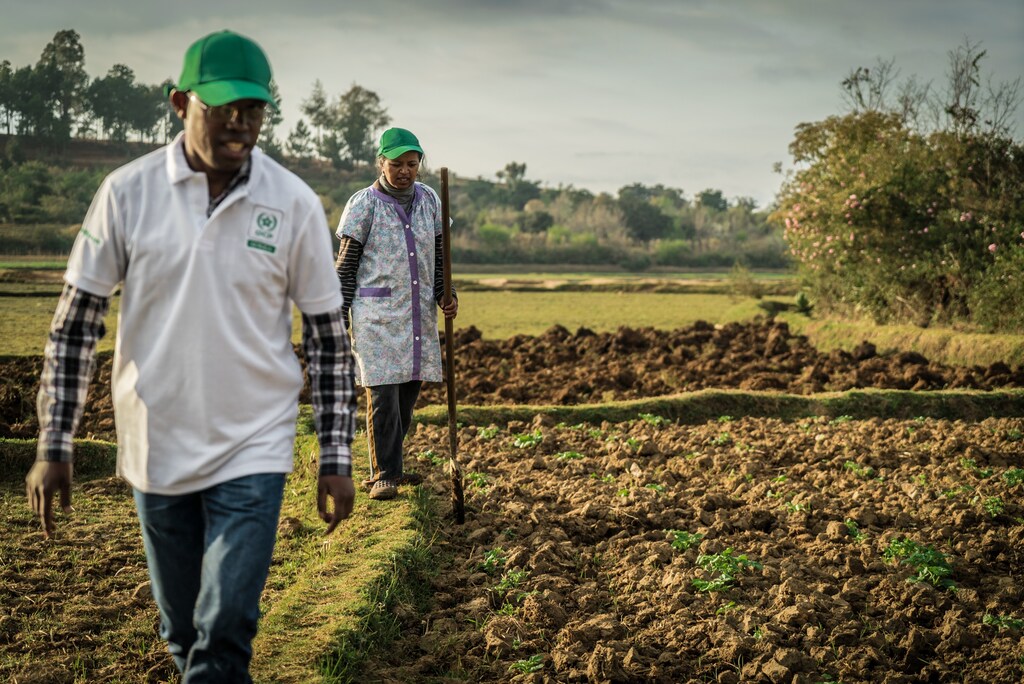 Africa has the potential to be a major player in global food networks and relieve a lot of stress on global food security.