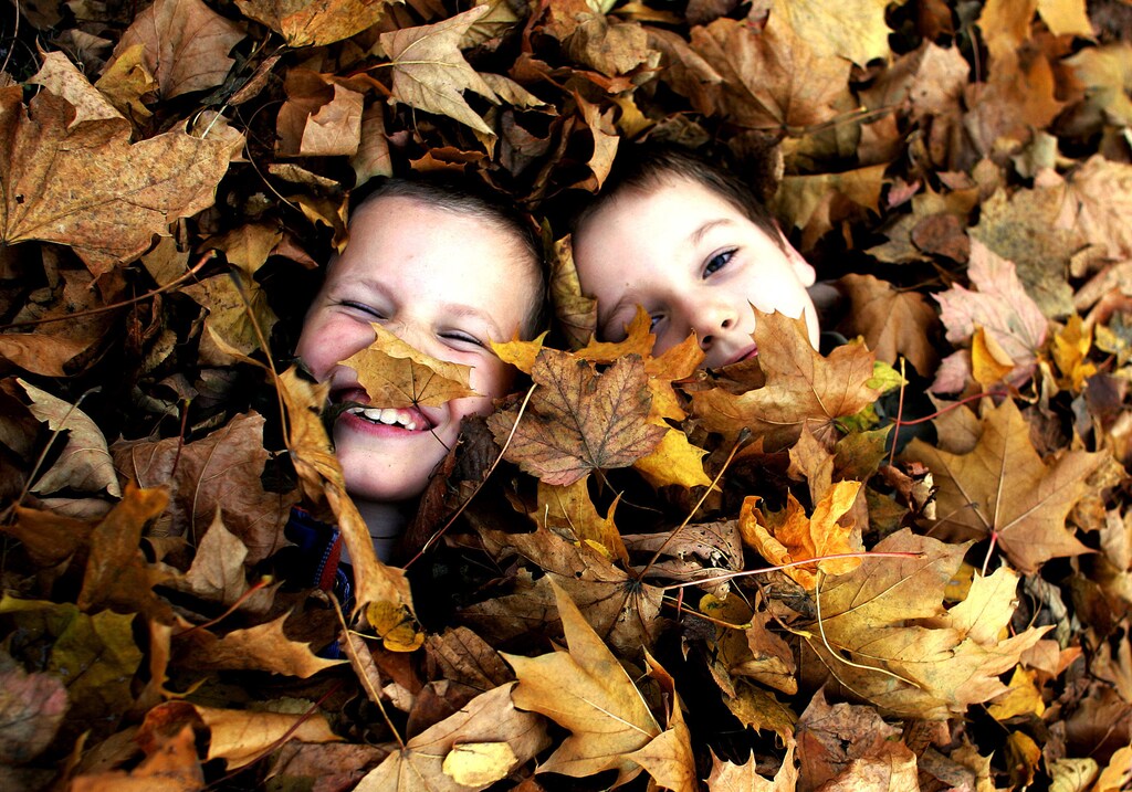 Two Polish school boys play in a pile of leaves in a park in central Warsaw October 26, 2004. REUTERS/Peter Andrews Pictures of the Month October 2004 PA/ABP BEST QUALITY AVAILABLE - RTRE81Q