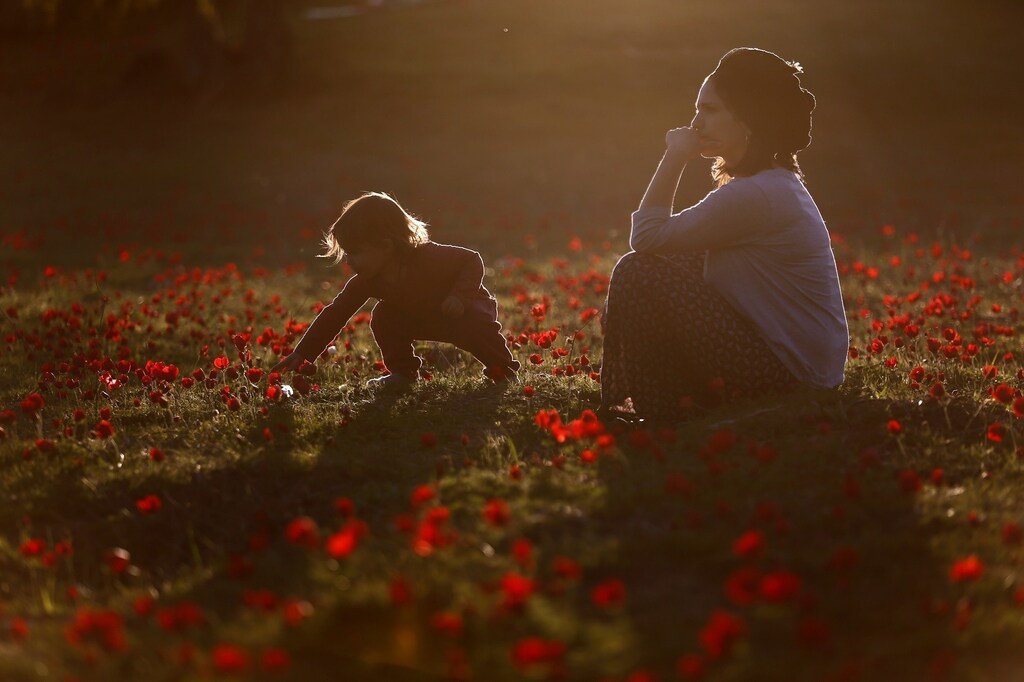 A woman plays with her daughter in an anemones field near Kibbutz Alumim in southern Israel February 7, 2017. REUTERS/Amir Cohen TPX IMAGES OF THE DAY - RTX301JQ