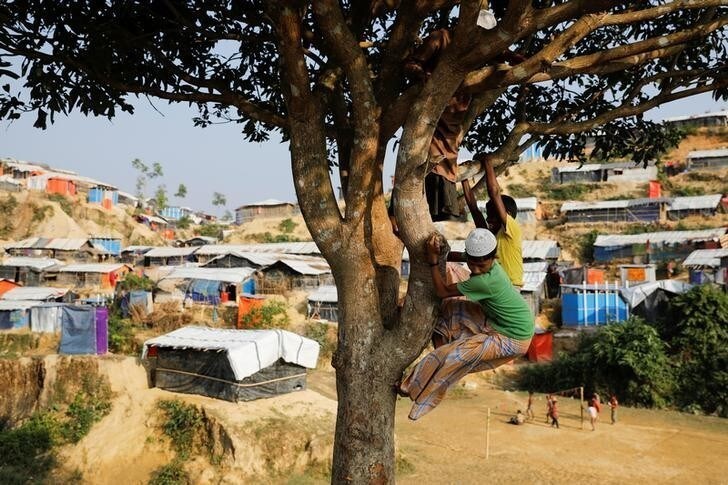 A Rohingya refugee child climbs a tree at the Palongkhali refugee camp near Cox's Bazar, Bangladesh December 22, 2017. REUTERS/Marko Djurica