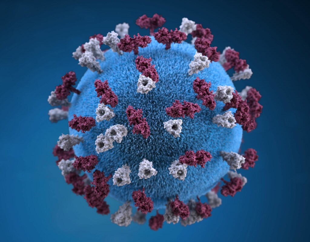 A measles virus particle. This weekly round-up brings you key health stories from the past seven days.