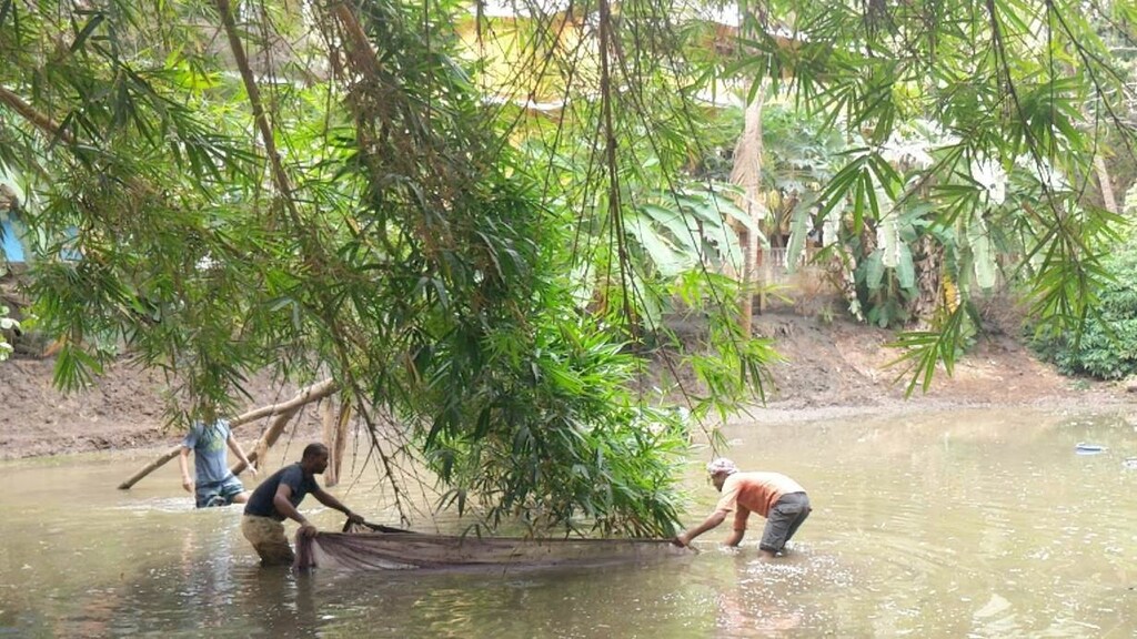 Migrant workers clean a pond in western state of Goa, India.
